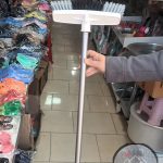 استخرشوی کوچک میلاد